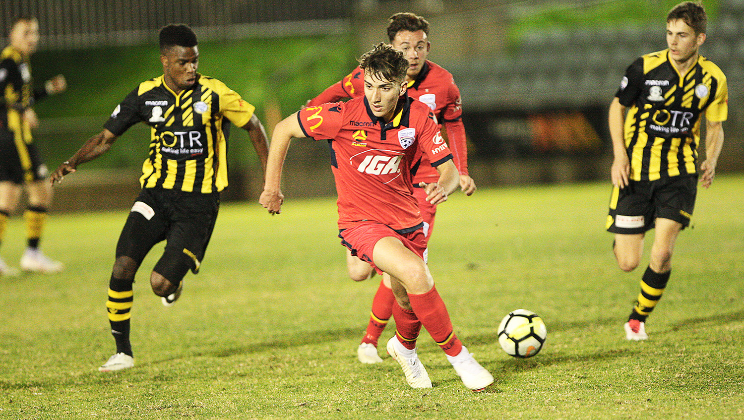Carlo Armiento Adelaide United Youth