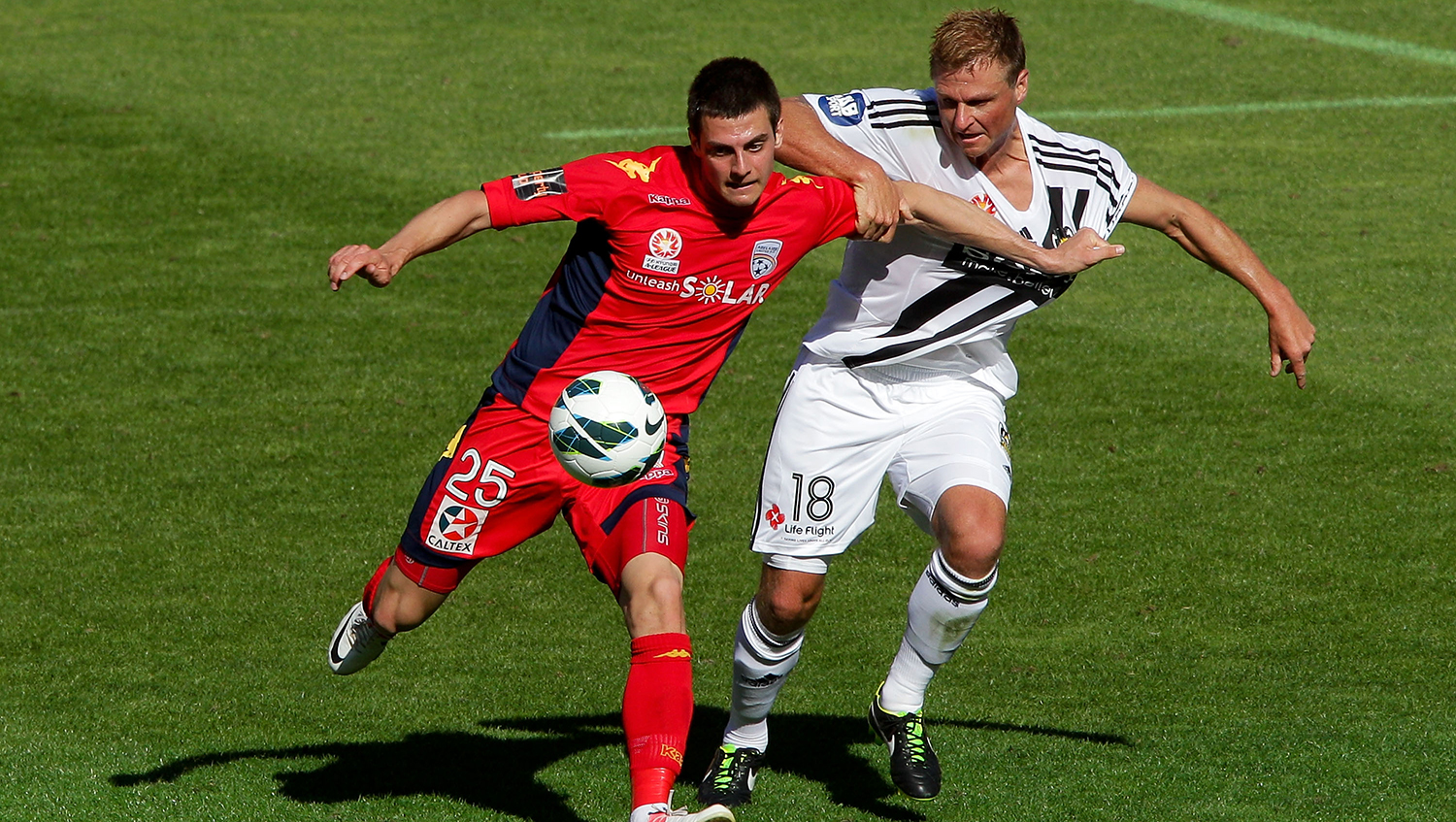 Tomi Juric