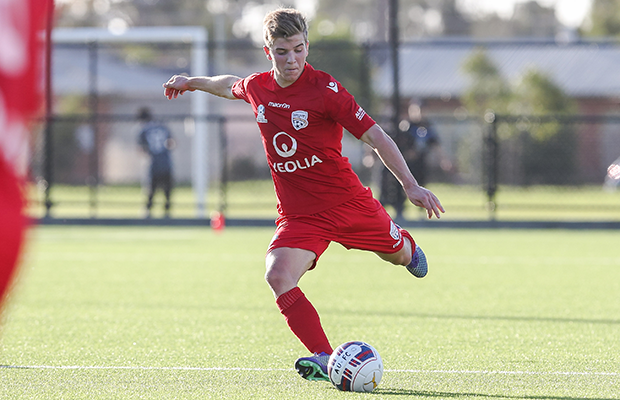 Adelaide United have added Riley McGree and Jordan O'Doherty to its senior squad.