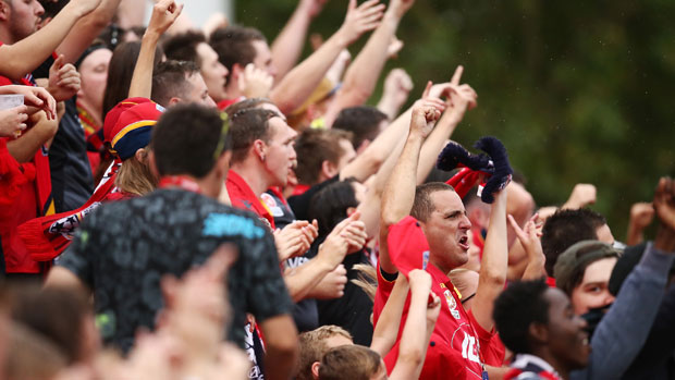 Reds fans show their support during Adelaide United's Boxing Day clash against Sydney FC.