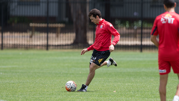 Round 10 Match Preview: ADLvSYD - Guillermo Amor