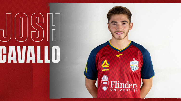 Reds sign Cavallo for remainder of the season