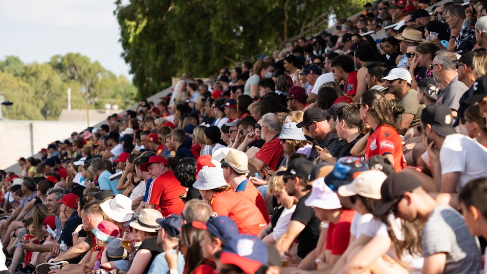 Adelaide United record W-League crowd