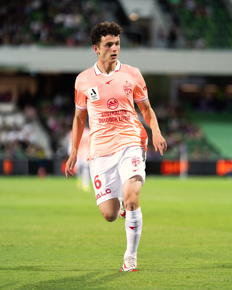 Louis D'Arrigo