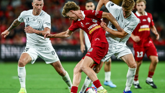 Adelaide and Macarthur share the spoils in entertaining draw in the heat