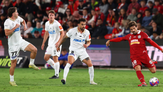 Adelaide and Auckland battle out fiery 1-1 draw at Coopers Stadium